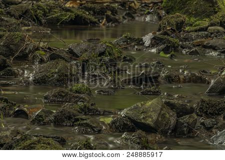 Usovicky Creek In Summer Day Near Marianske Lazne Spa Town