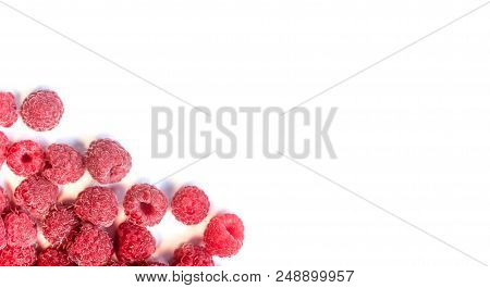 Dripping Raspberry On White Background. Close-up Photo.