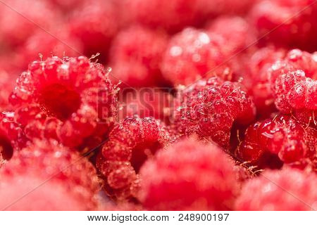 Background Texture Of Dripping Raspberry. Close-up Photo.