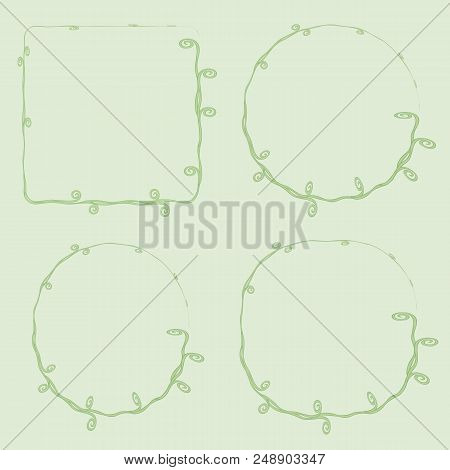Vector Thin With Curls Vegetative Green Loach Grass Frame Square Rounded Circle On A Light Green Bac