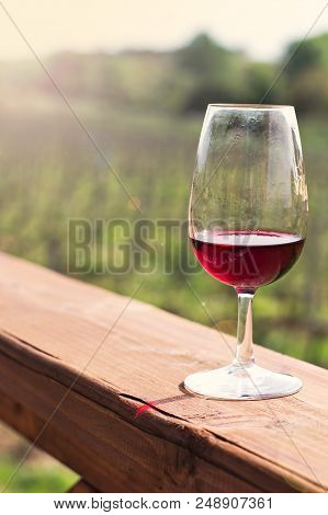 Glasses With Wine Red. Tasting Wine In The Vineyard.
