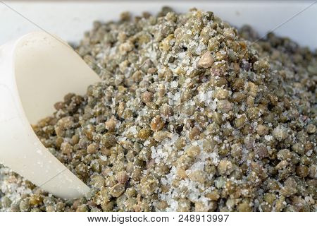 Important Ingredient In Traditional Italian Cuisine, Salted Capers, Capparis Fruits, Pickled Flower 