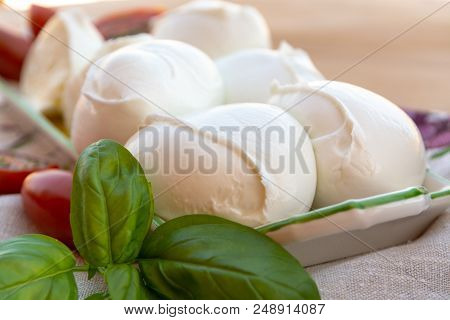 Fresh Soft Italian White Cheese Mozzarella Buffalo, Original From Campania, Paestrum And Foggia Regi