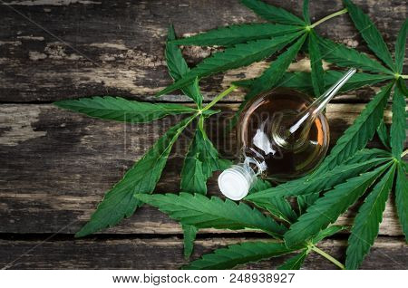 Cannabis Essential Oil In The Vial. Herbal Medicine. Naturopathy.