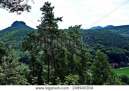 View To The 