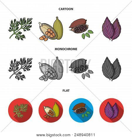 Dill, Cocoa Beans, Basil.herbs And Spices Set Collection Icons In Cartoon, Flat, Monochrome Style Ve