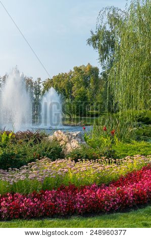 The Flower Bed Is Planted With Bright Red Begonias On The Shore Of The Lake With Fountains. The Recr