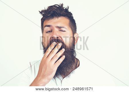 Sleepy Man With Beard On Yawning Face On White Background, Morning And Wake Up, Everyday Life. Beard