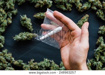 Grinder A Lot Ofx Marijuana, Fresh Buds Of Cannabis Many Weed. Copy Spase Copy-space