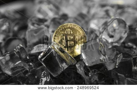 Gold Bitcoin On Ice Background. The Concept Of The Exchange In Winter. Freeze. Blockchain Mining. Di