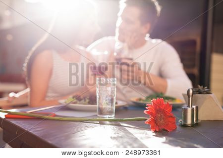 Gallant Wife. Caring Gallant Man Presenting Nice Red Flower His Beautiful Dark-haired Wife Wearing S