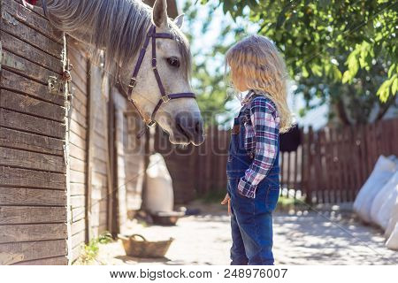 Side View Of Kid Looking At White Horse At Farm