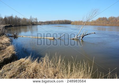 Close Up On Springtime Desna Rive Flood.