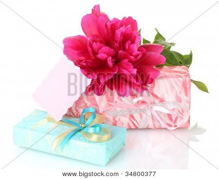 presentes de beautirul-de-rosa e flor de peônia isolado no branco
