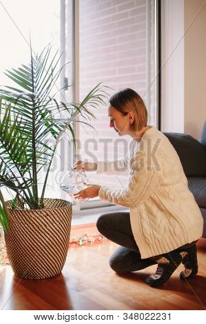 Happy Caucasian Woman Pouring Water From Glass Jar On Green Home Plant In Pot. Large Houseplant Howe