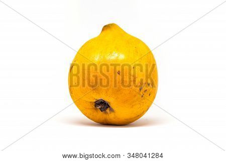 Santol Or Chisa Philippine Fruit Photo On White Background. Exotic Egg Fruit Studio Shot. Unusual Fr