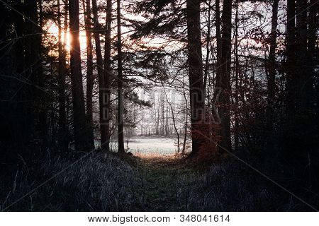 The End Of The Road Coming To The Meadow From The Dark And Cold Forest. Sunset Through The Trees