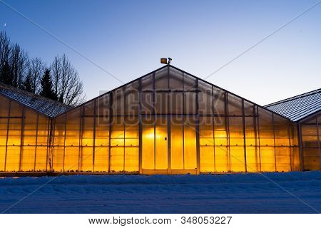 Thanks To The Geothermal Hot Water Iceland Is Able To Grow Plants All Year Long Even In The Winter T