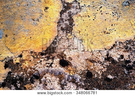 Colorful and abstract lichen formation on rocks