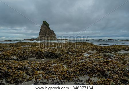 Tidepools Span Across Pacific Coast With Sea Stack In Distance