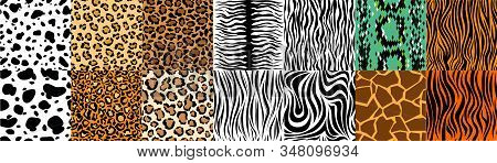 Set Of Seamless Patterns With Skin Of Fur Textures Of Wild Animals