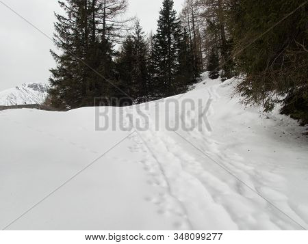 Winter Alpine Landscape For Skitouring In Stubaier Alps In Austria