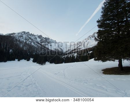 Winter Alpine Landscape For Skitouring In Stubaier Alps In Austria