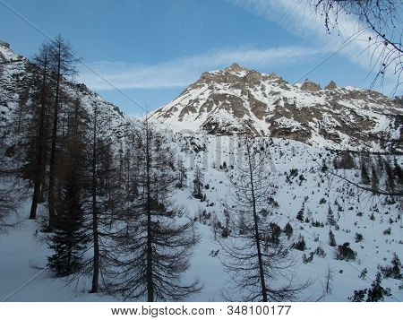 Winter Alpine Landscape For Skitouring In Stubaier Alps In Austria