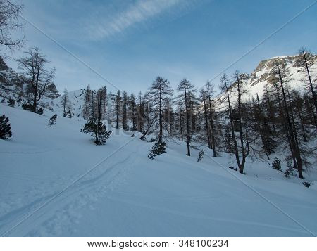 Winter Alpine Landscape For Skitouring In Stubaier Alps In Austria