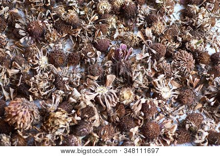 Dried Flowers Laid Out On A Table