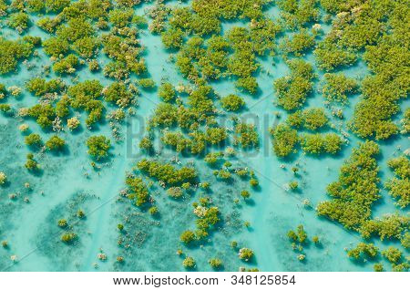 Aerial Of Mangroves At King Sound