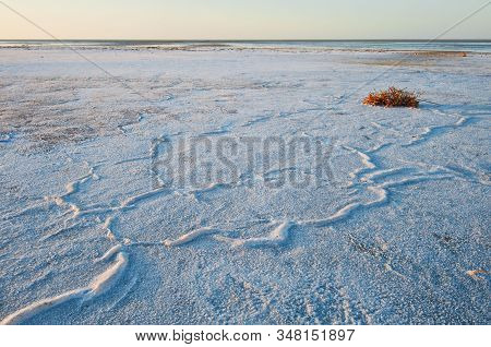 Lake Eyres Salt Crust Forming Patterns