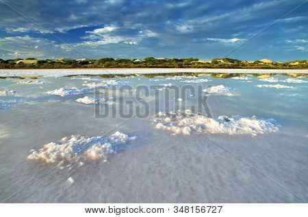Pink Salt Lake In The Cactus Beach Dunes