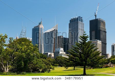 View From The Royal Botanic Garden On Sydney Cbd