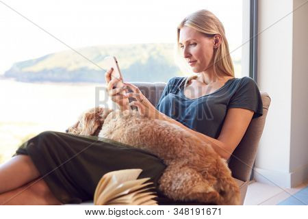 Woman Using Mobile Phone Relaxing In Chair By Window At Home With Pet Dog