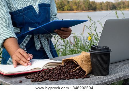 The Woman Inspected The Coffee Bean Quality And Recorded The Results.