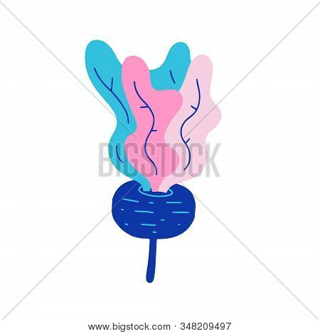 Beetroot Illustration, Farming Product, Healthy Veggie, Raw Beet With Halm And Leaves, Fresh Harvest
