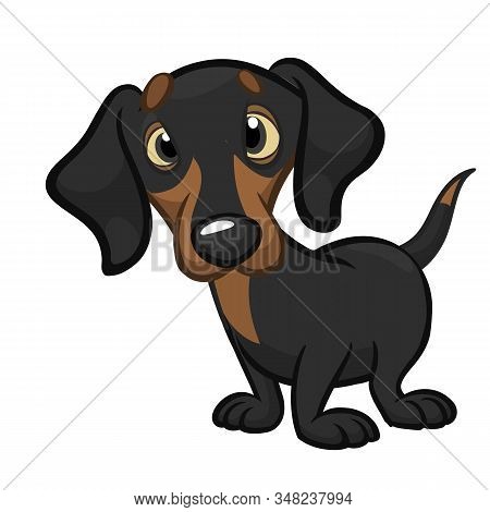 Cartoon Funny And Cute Dachshund Dog Illustration