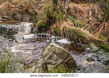 Little Stream, Babbling Brook, Rocks Grasses And Mosses Along The Shore. Photo Made In The Hi Gh Fen