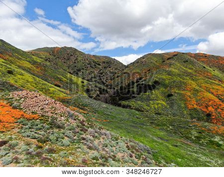 Aerial View Of Mountain With California Golden Poppy And Goldfields Blooming In Walker Canyon, Lake 
