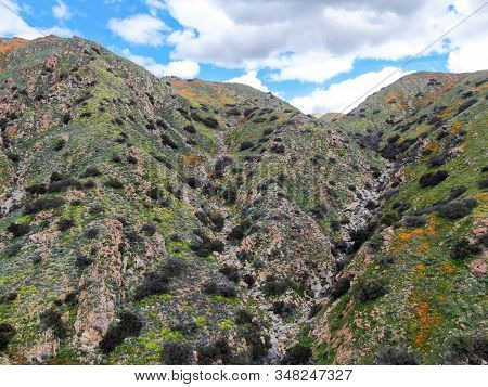 Aerial View Of Mountain With California Golden Poppy And Goldfields Blooming In Walker Canyon, Lake 
