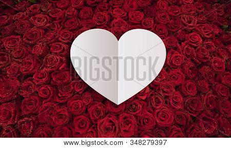 Blank Heart White Gift Card On A Many Red Rose With Water Drop. Valentine