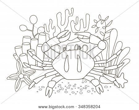Vector Beautiful Coloring Book For Adults And Children With Crab And Fish Among Algae, Starfish And