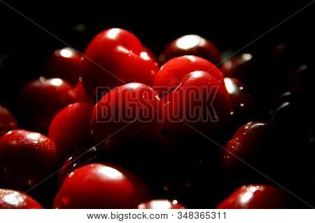 A Lot Of Red Cherries Of The Picota Species In The Shade