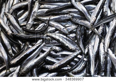 Heap Of Small Mediterranean Anchovy Fish At Market. In A White Box. Close Up.