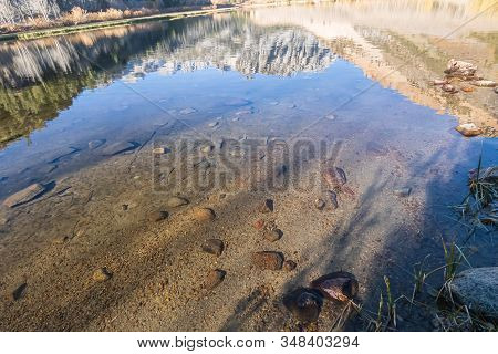 Lake Bed Through Transpatent Water With Reflections And Shadows
