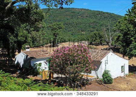 Farmhouse (finca) In The Forest, Sierra De Los Alcornocales, Andalucia, Spain