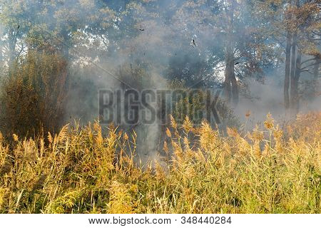 Peatland Fires Are Raging In Early Autumn