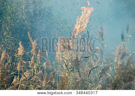 Peatland Fires Are Raging In Early Autumn