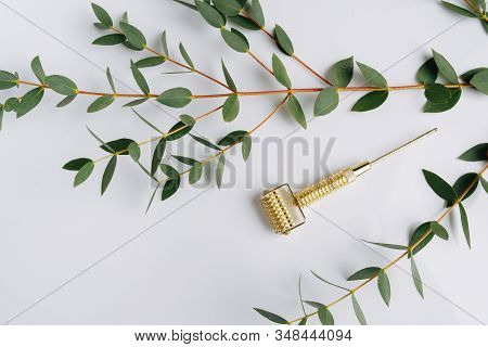 Gua Sha Spiked Metal Roller With Eucalyptus Branches Over White. Top View.